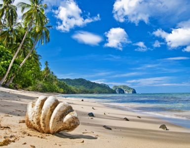 Tropik Adalar Tatili Yapan Ünlüler