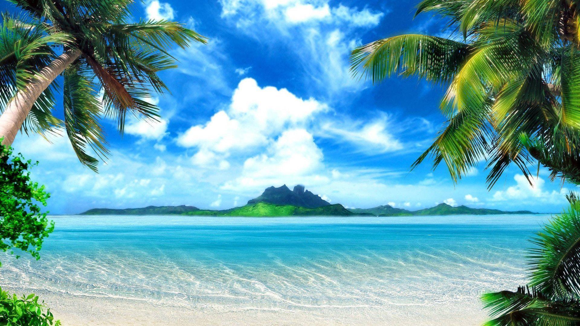 Tropik Adalar ile ilgili bilmek istediğiniz her şey
